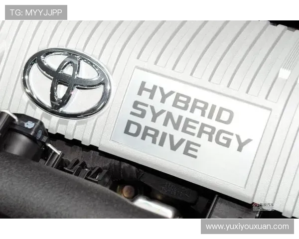 广州飞盘队战术解析与对手战术的深度对比分析