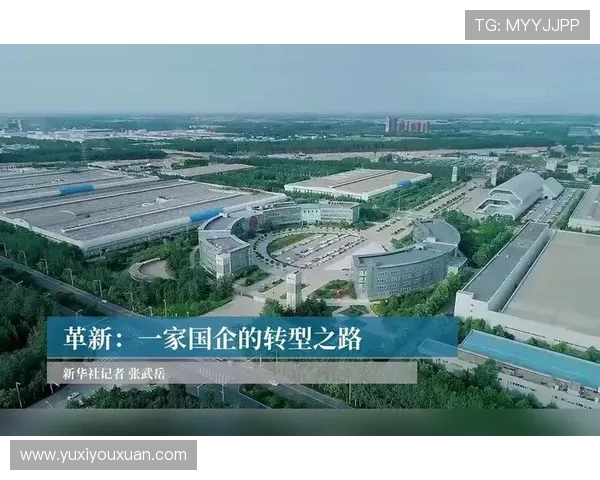 成都排球队快攻革新之路：战术变革与团队协作的完美结合