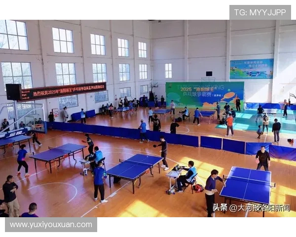 探索体育的无限可能：从竞技场到全民健身，如何推动体育文化全面发展